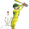 cricket c jpg